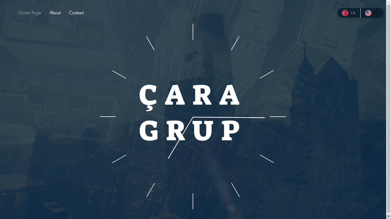 Çara Grup Şirketleri — Kurumsal Web Sitesi
